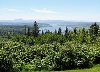 IMG 0752