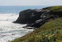 IMG 0909 - Copy