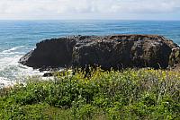 IMG 0914