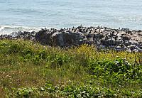 IMG 0916