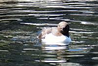 IMG 0933