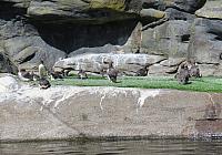 IMG 0939