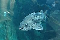 IMG 0953