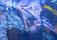 IMG 0964