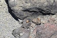 IMG 0972