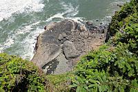 IMG 0974