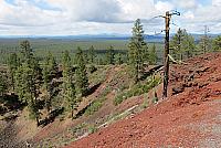 IMG 1032