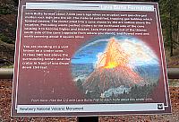 IMG 1045