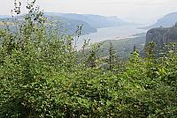 IMG 1181