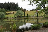 IMG 1208