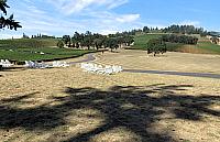 IMG 1229