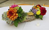 IMG 1269