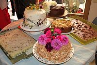 IMG 1281