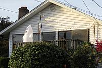 IMG 1473