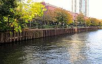 IMG 1515