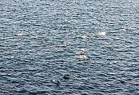 IMG 1673