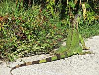 IMG 1883
