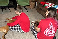 IMG 2043