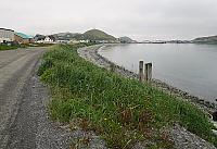 IMG 2438