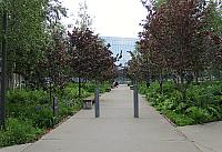 IMG 2589
