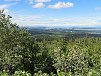 IMG 2617