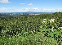 IMG 2620