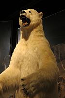 IMG 2343