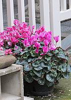 IMG 3544