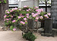 IMG 3551