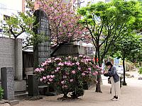 IMG 3553