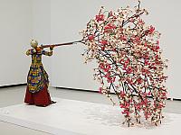 IMG 3573