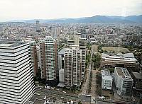 IMG 3589