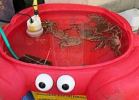IMG 4014