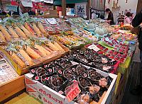 IMG 4024