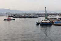 IMG 3718