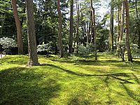 IMG 3726