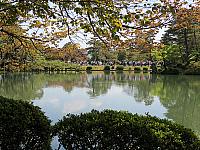 IMG 3730