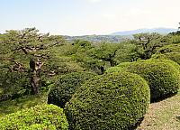 IMG 3733