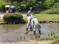 IMG 3741