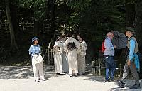 IMG 3761