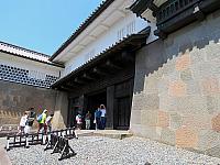 IMG 3776