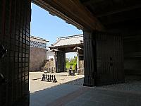 IMG 3782