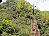 IMG 3384