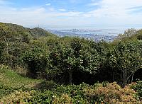 IMG 3414