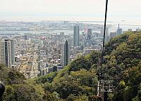 IMG 3425