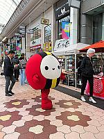 IMG 3448