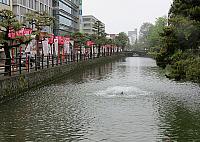 IMG 3460