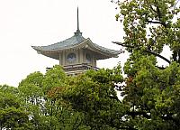 IMG 3475