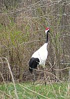 IMG 4179