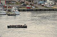 IMG 3920